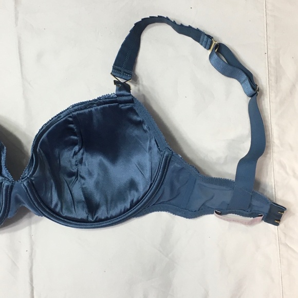 Stella McCartney: Stunning Silk Lace Bra!! - Picture 10 of 10